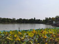 -湘湖大院(越王路店)
