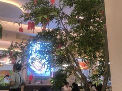 -Aqua Oasis 水天堂(太湖中心mall店)