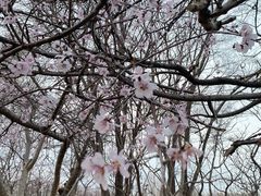 -丁香湖公园