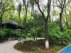 -大兴滨河森林公园