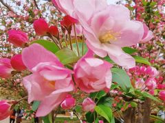 -元大都城垣遗址公园