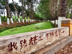 -东郊湿地公园