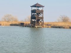 -盐城丹顶鹤湿地生态旅游区