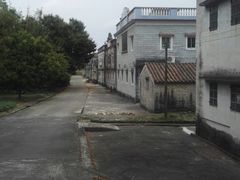 -开平碉楼文化旅游区马降龙景区