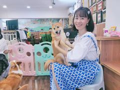 -柯斗斗主题餐厅·狗咖·围炉煮茶·茶饮(国瑞升平里店)