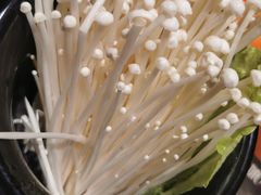 -渡娘火锅(大兴大悦春风里店)