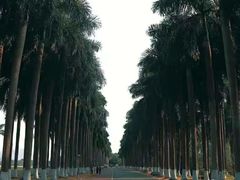 -南宁花花大世界景区