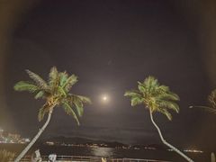 -JW万豪厨房餐厅·滨海草坪烧烤·海鲜·海景(三亚绿发山海天JW万豪酒店)