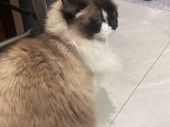 -seeu coffee(江滩店)