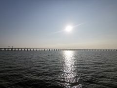-宝安西湾红树林湿地公园