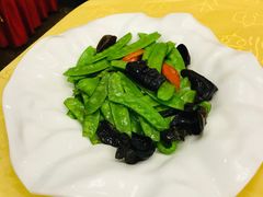 荷兰豆炒木耳-同和居(什刹海店)