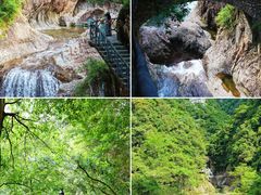 -龙湾潭国家森林公园
