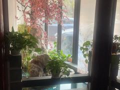 -金指缘足浴(望园路旗舰店)