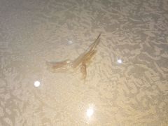 -阿巧一号私房菜(止园路店)
