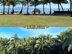-深圳湾公园(南山区)