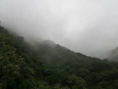 -阳台山自然风景区