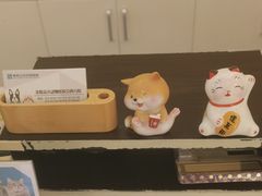 -美联众合动物医院·24h京西诊疗中心