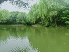 -同里国家湿地公园