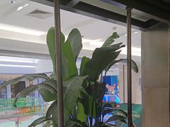 -旺顺阁鱼头泡饼(常营店)