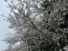 -瑞慈体检上海陆家嘴机构