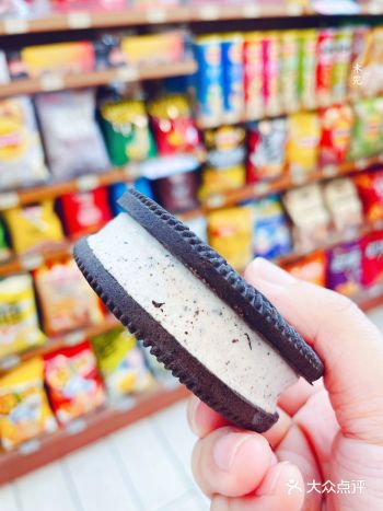 比饼干大上一整圈的奥利奥冰淇淋