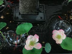 -瑞幸咖啡(南昌国际金融中心店)