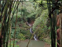 -凤栖山