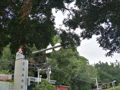 -金鸡山公园
