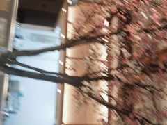 -蜜桃餐厅·伴山(湖滨商业街店)