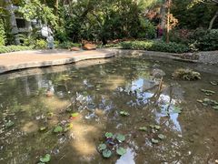 -香港大学