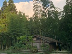 -重庆雨台山风景区