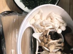 -洪氏嗨捞·猪肚鸡火锅(阳光天地店)