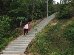 -中山市树木园