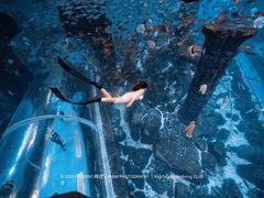 -哈尔滨波塞冬海底世界