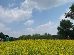 -长白岛森林公园