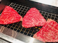 -俺的焼肉(銀座9丁目店)