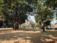 -晓港公园