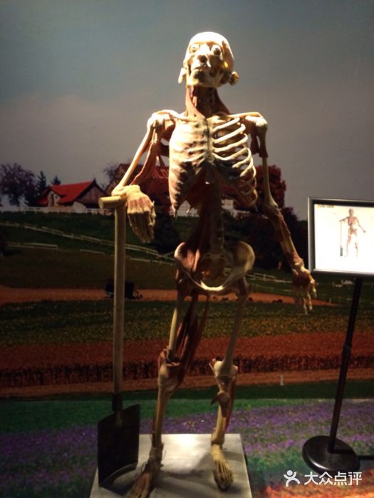 浙江省科技馆图片