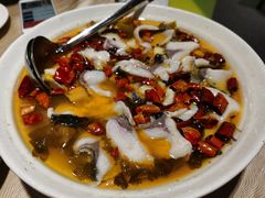 大盘酸菜鱼-张记旺角食街(动物园店)