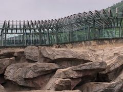 -无锡动物园·太湖欢乐园