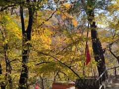 -北京上方山国家森林公园