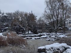 -莲花池公园