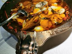 -雲蜀龙阁·金牌水煮鱼(方庄店)