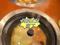 -挂雪铁锅炖大鹅