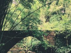 -凤栖山