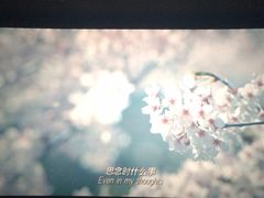 -南宁时代电影大世界(CGS激光中国巨幕)