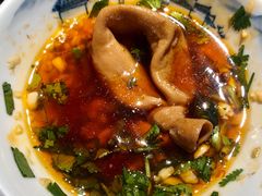 -二荆条·蜀鲜汇城市森林火锅