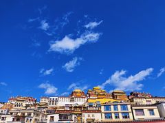 -藏味八珍特色火锅