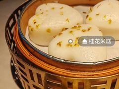-醉庐·新上海菜(南京西路店)