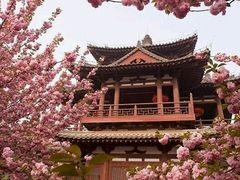 -西安青龙寺遗址景区